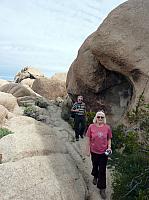 joshua tree national park (24).JPG